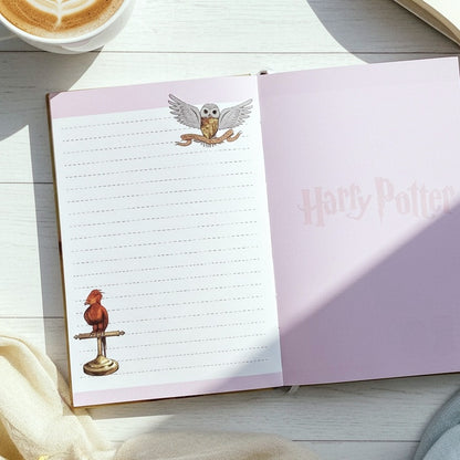 potter crawl notebook